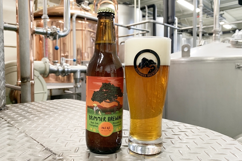 ビールのサブスク『DREAM BEER』で届くビールは?